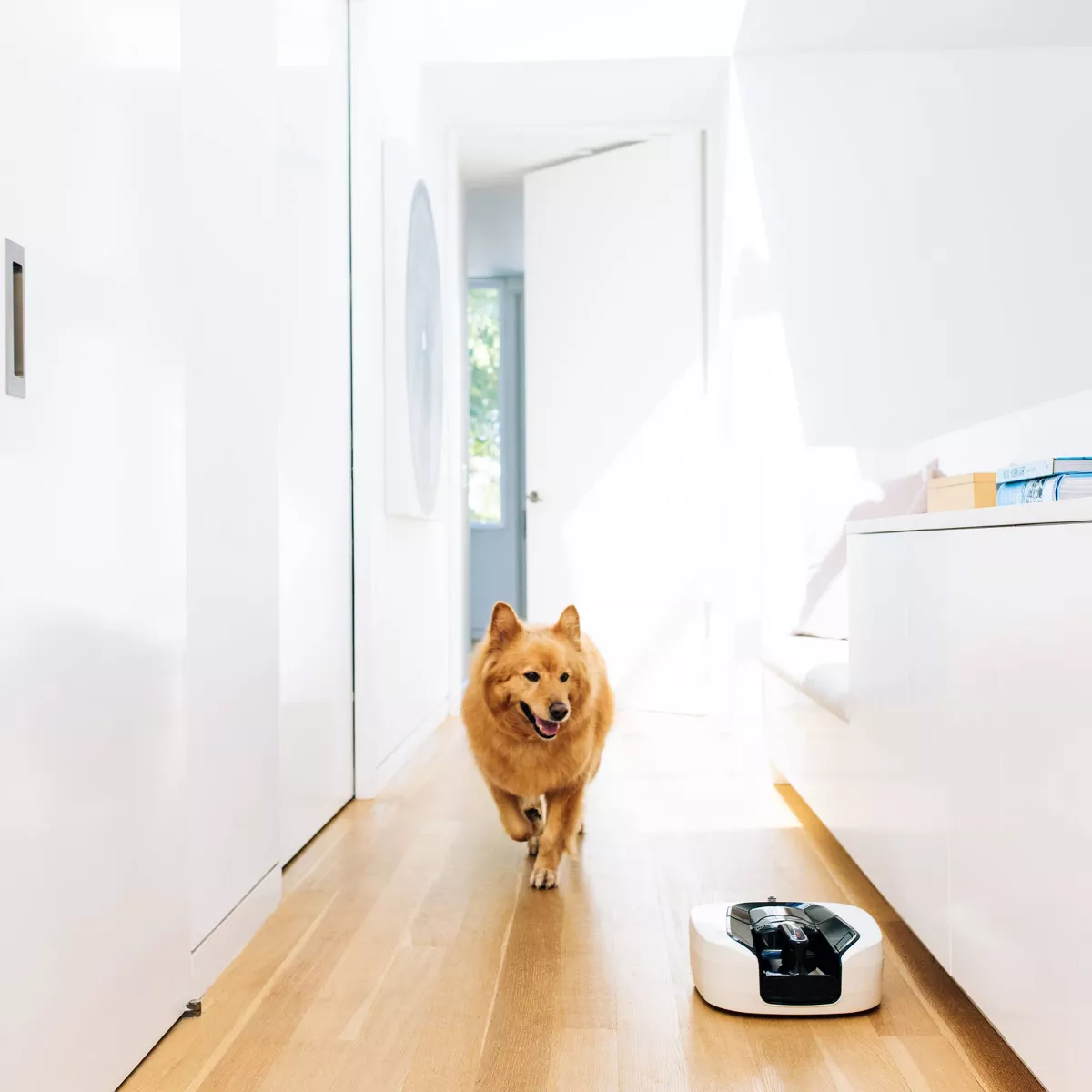 Coral One 2-in-1 Robot and Handheld Vacuum - Pearl