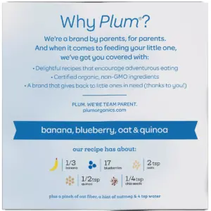 Plum Organics Mighty Morning 4pk Banana Blueberry Oat Quinoa Fruit & Whole Grain Snack Pouches - 12.68oz