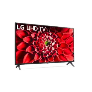 LG 55