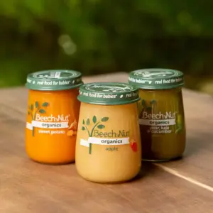 Beech-Nut Organics Bananas Baby Food Jar - 4oz