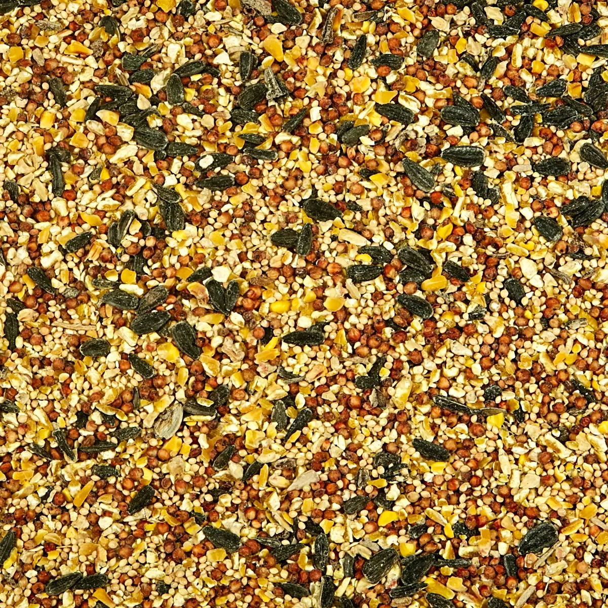 Kaytee Wild Bird Food - 20 lb