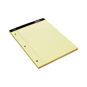 Staples Notepads 8.5