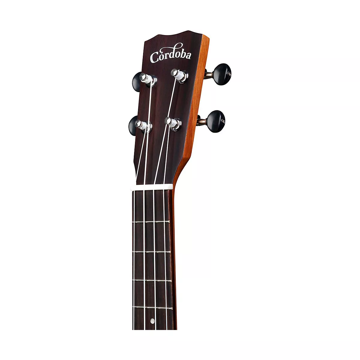 Cordoba 25T-CE Tenor Ukulele Natural