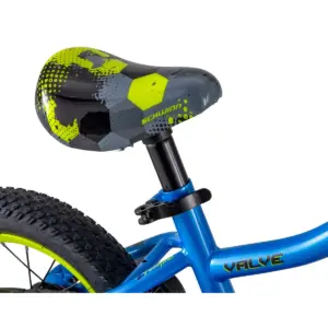 Schwinn Valve 12