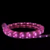 Northlight 10' LED Outdoor Christmas Linear Tape Lighting - Pink