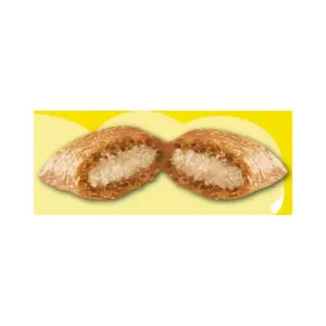 Temptations Surfer's Delight Cat Treats - 30oz