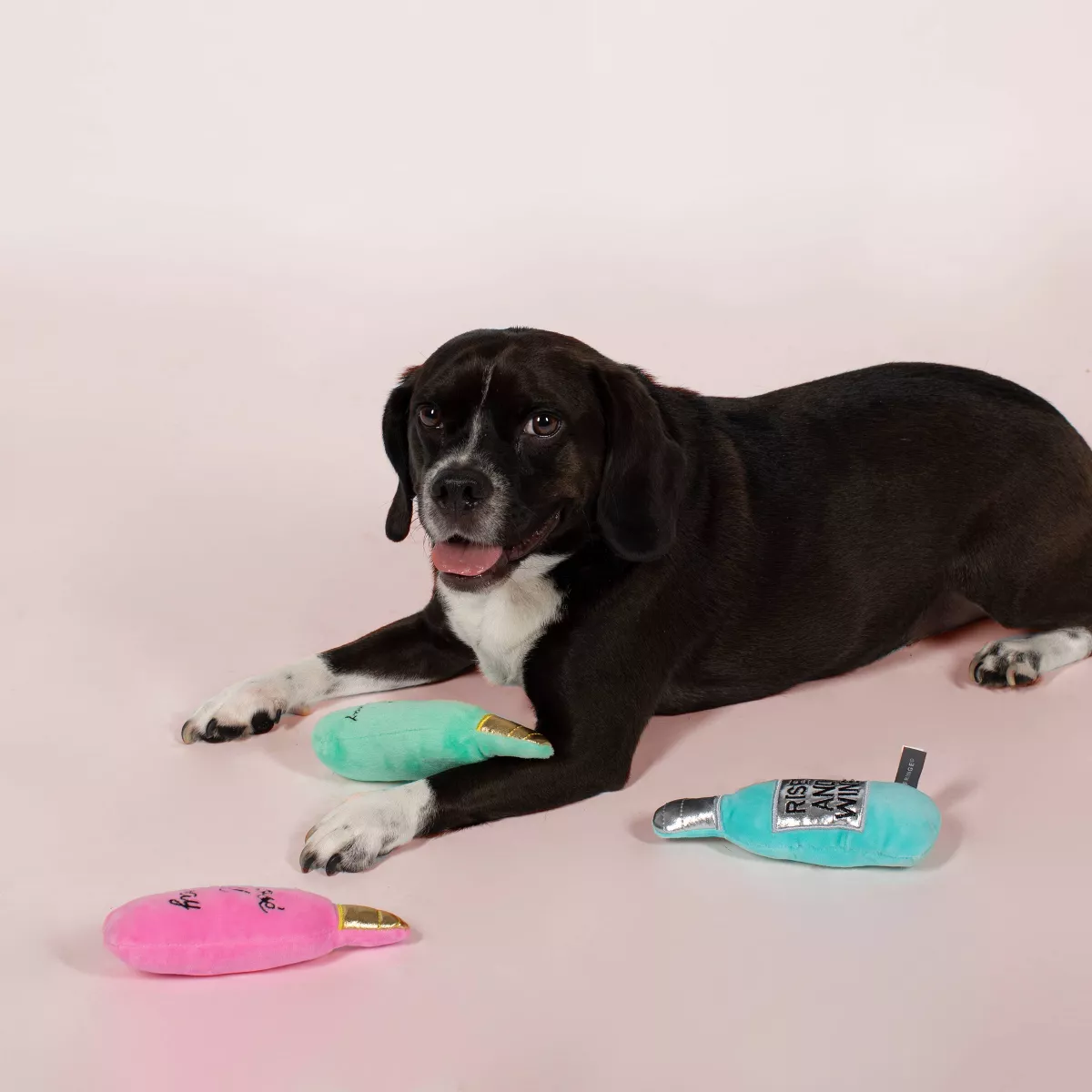 PetShop by Fringe Studio Wine Dog Toys - 3pk