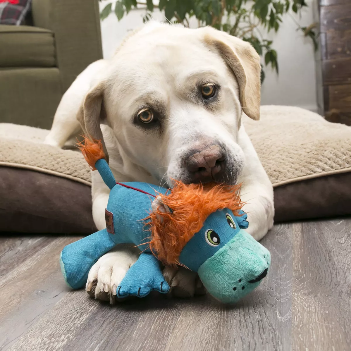 KONG Cozie Ultra Lucky Lion Dog Toy - M