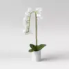 21" x 9" Artificial Orchid Arrangement in Pot White - Threshold™