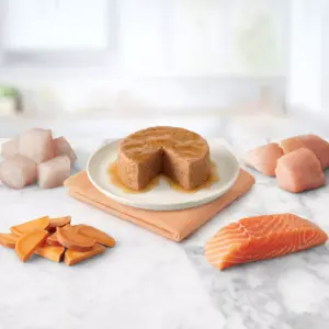 Blue Buffalo Tastefuls Pate Chicken, Salmon & Tuna Entrées Premium Wet Cat Food - 3oz / 12ct Variety Pack