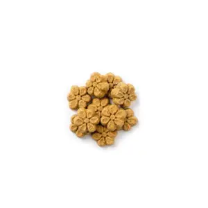 Fruitables Baked Pumpkin and Banana Flavor Healthy Low Calorie Dog Treats - 7oz