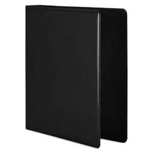 Wilson Jones Basic D-Ring View Binder 2