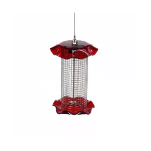 Birds Choice 1qt Forever Black Oil Sunflower Bird Feeder - Red