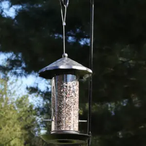 Sunnydaze Decor Wild Bird Seed Feeder with Acorn Style Roof - Gray - 13