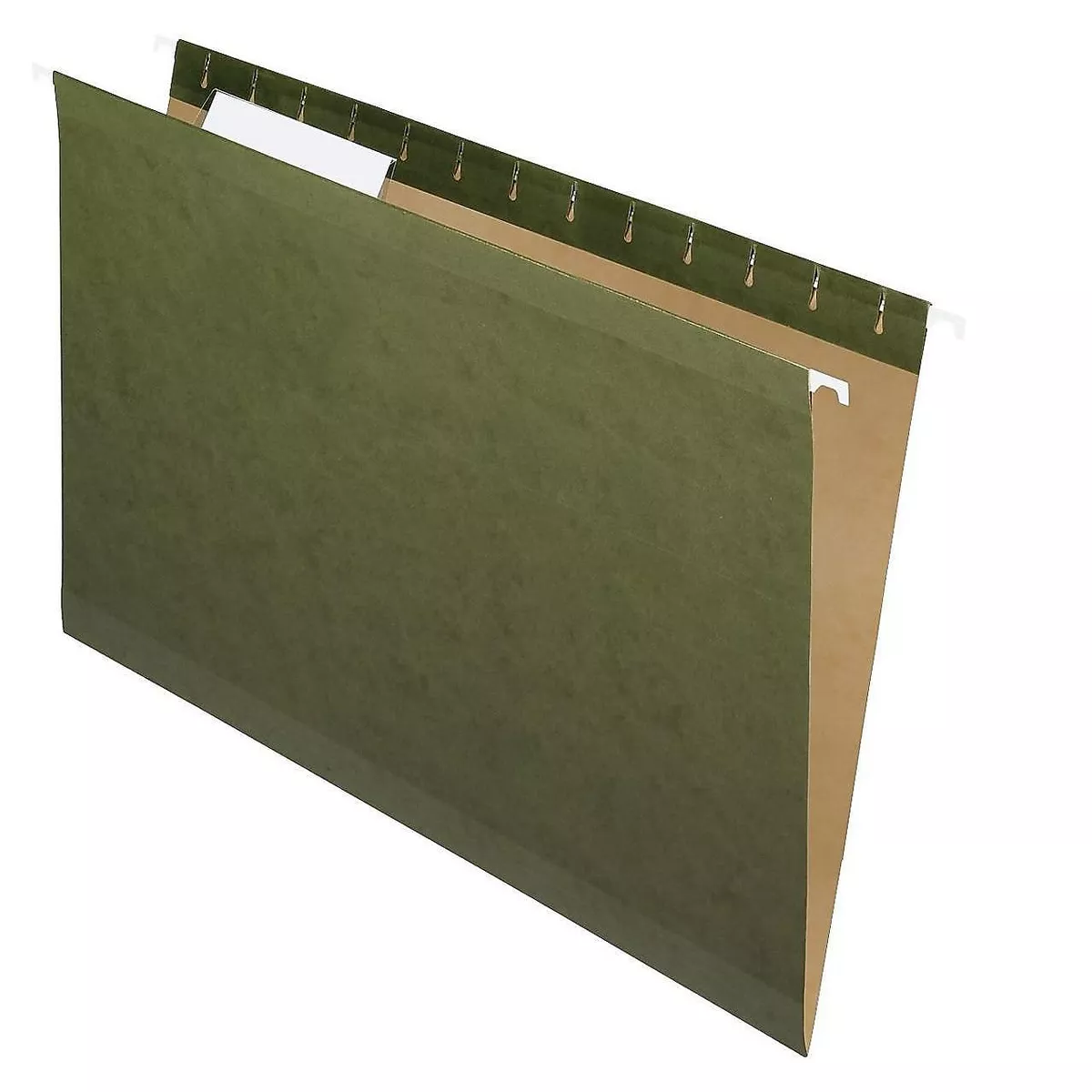 Pendaflex X-Ray Hanging File Folders 1/3 Tab Legal Standard Green 25/Box 415313