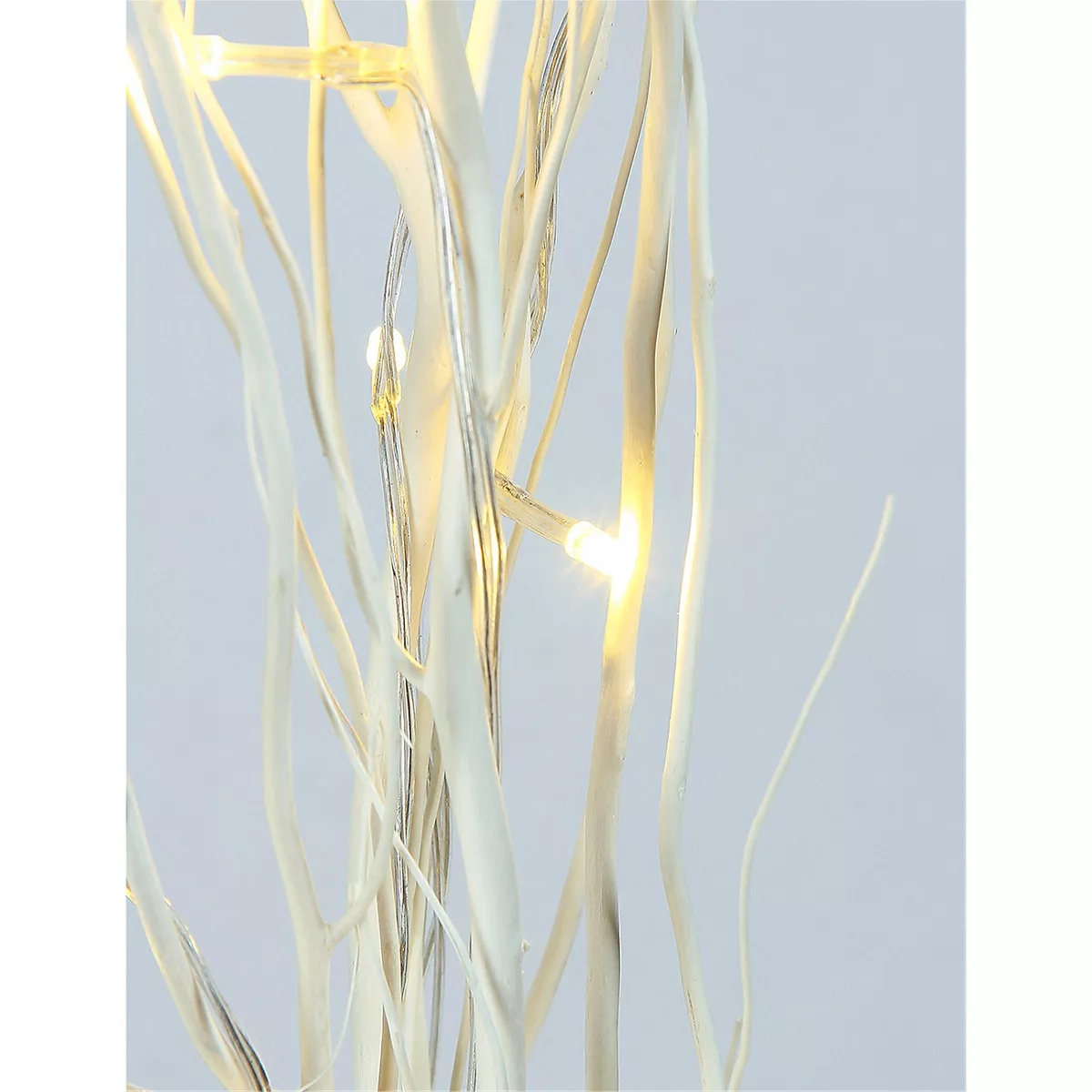 Lightshare 36
