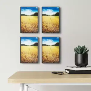 4