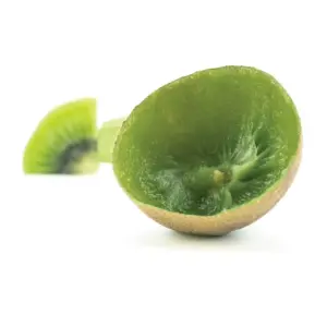 Tovolo Kiwi Corer And Slicer Tool Green