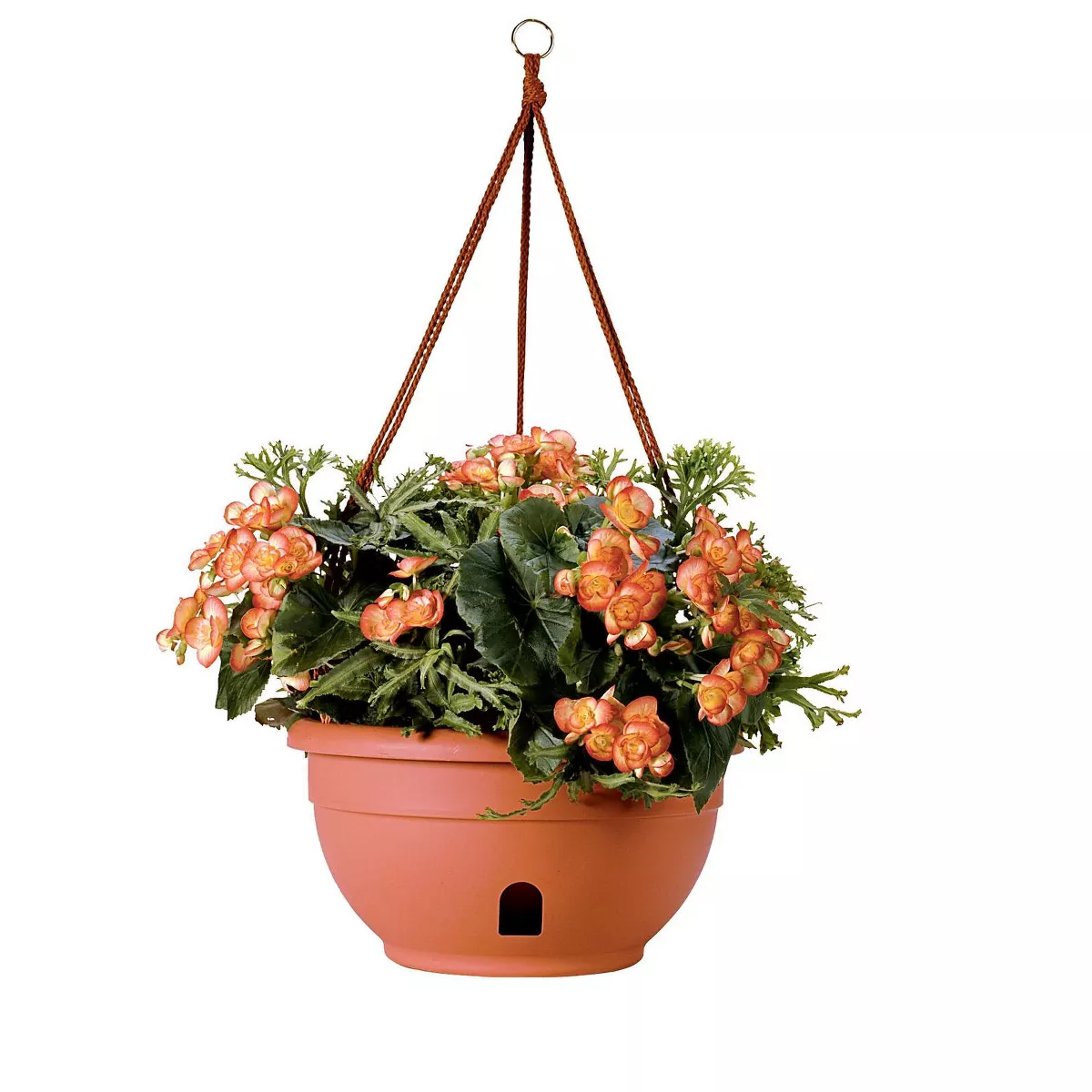 Self-Watering Hanging Basket - Gardener's Supply Company