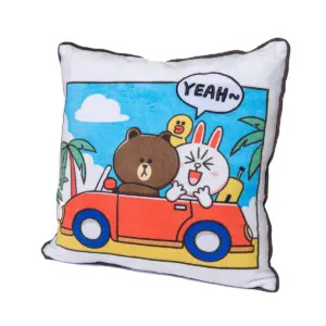 Line Friends Day of Brown Pillow
