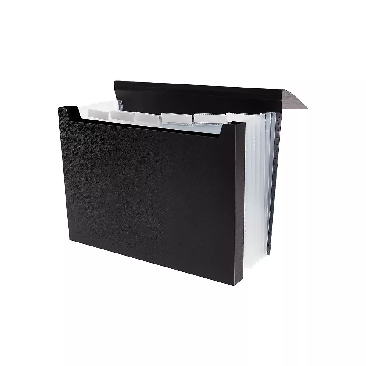 Staples Expanding File with 1