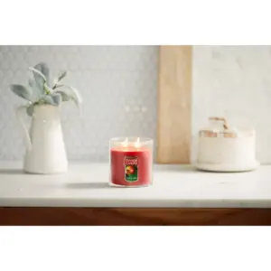 12.5oz Lidded Glass Jar 2-Wick Macintosh Candle - Yankee Candle