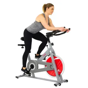 Sunny Health and Fitness (SF-B1001S) Indoor Cycling Bike