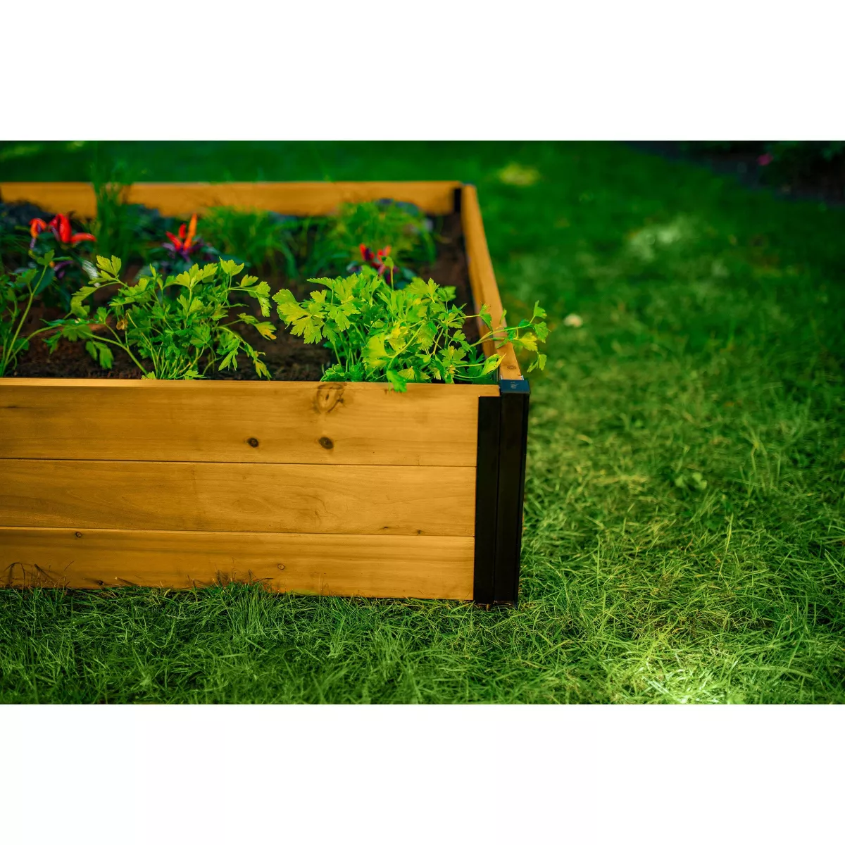 Mezza Garden Bed Square Planter - Vita