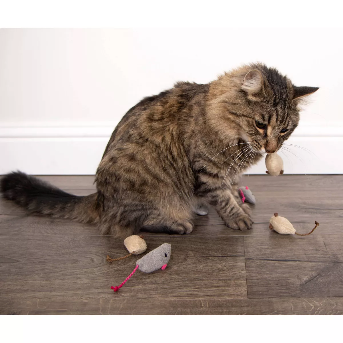 SmartyKat Skitter Critters Cat Toy - 10pk