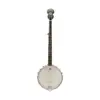 Washburn B7-A Americana 5-String Open-Back Banjo