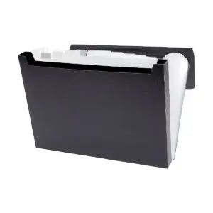 Staples Expanding File with 1