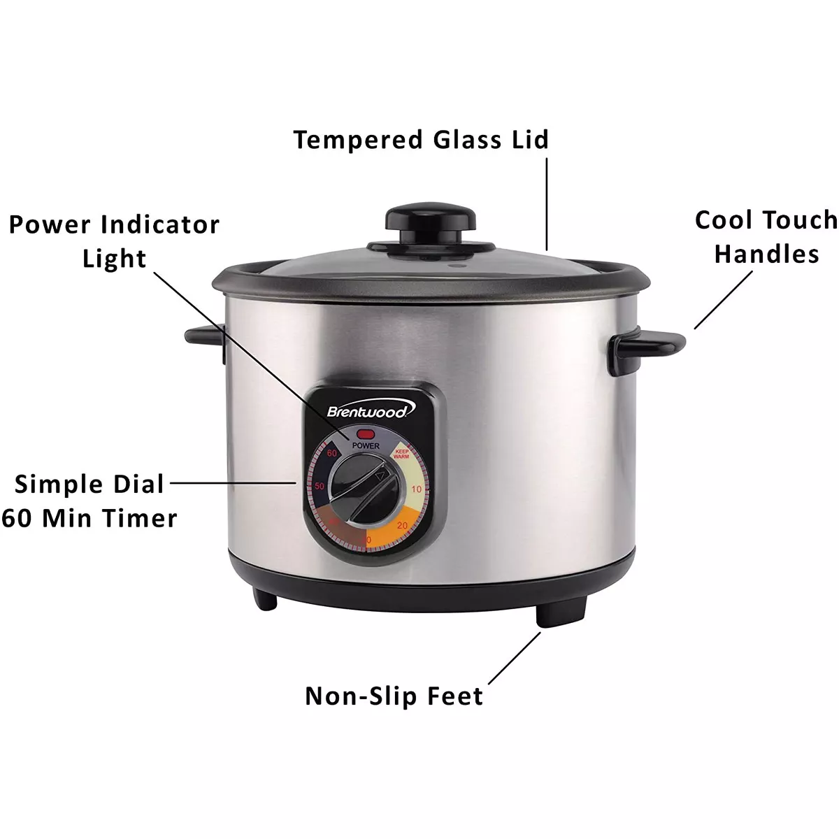 Brentwood TS-1020S 700 Watt 20 Cup Persian Style Crunchy Tahdig Scorched Rice Cooker with 60 Minute Timer, Silver