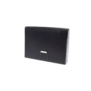 Staples Expanding File with 1