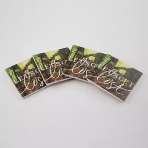 Thirstystone Let's Get Lost Coaster Set of 4