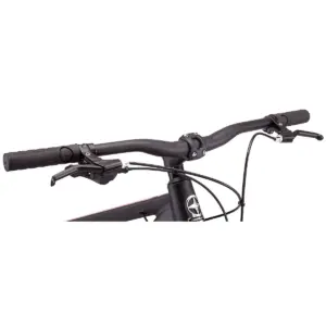 Schwinn Men's Ascension 29