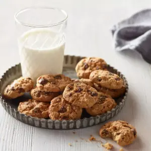 Munchkin Milkmakers Lactation Cookie Bites - Oatmeal Chocolate Chip - 10ct