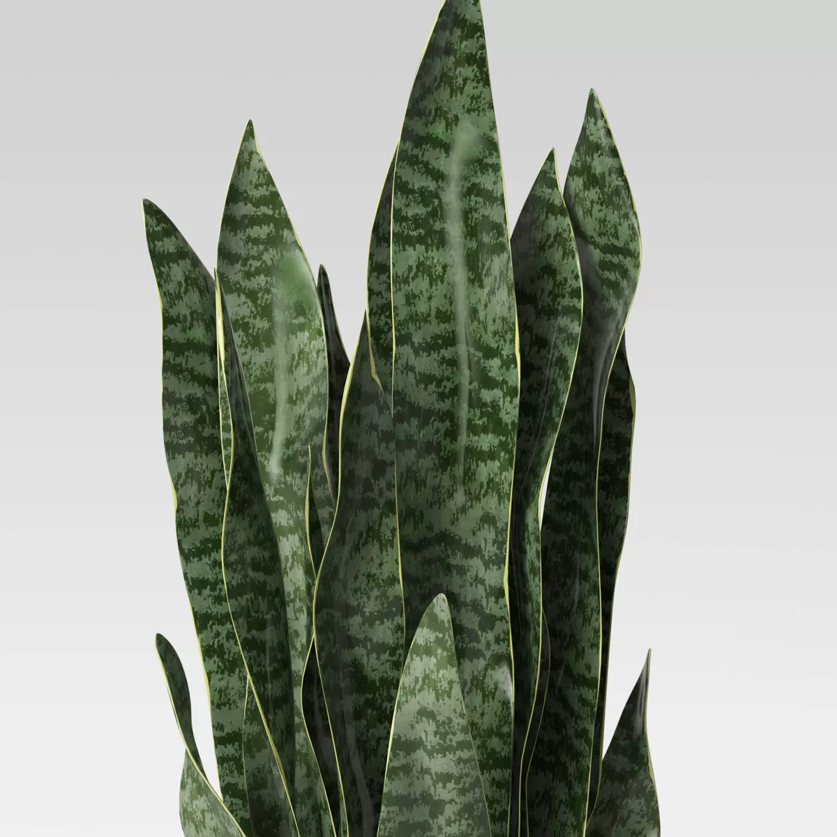 36" x 10" Artificial Snake Plant in Stand - Project 62™