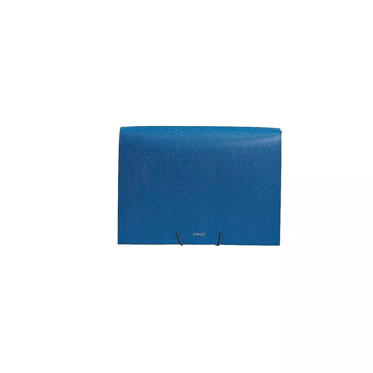 Staples Expanding File with 1