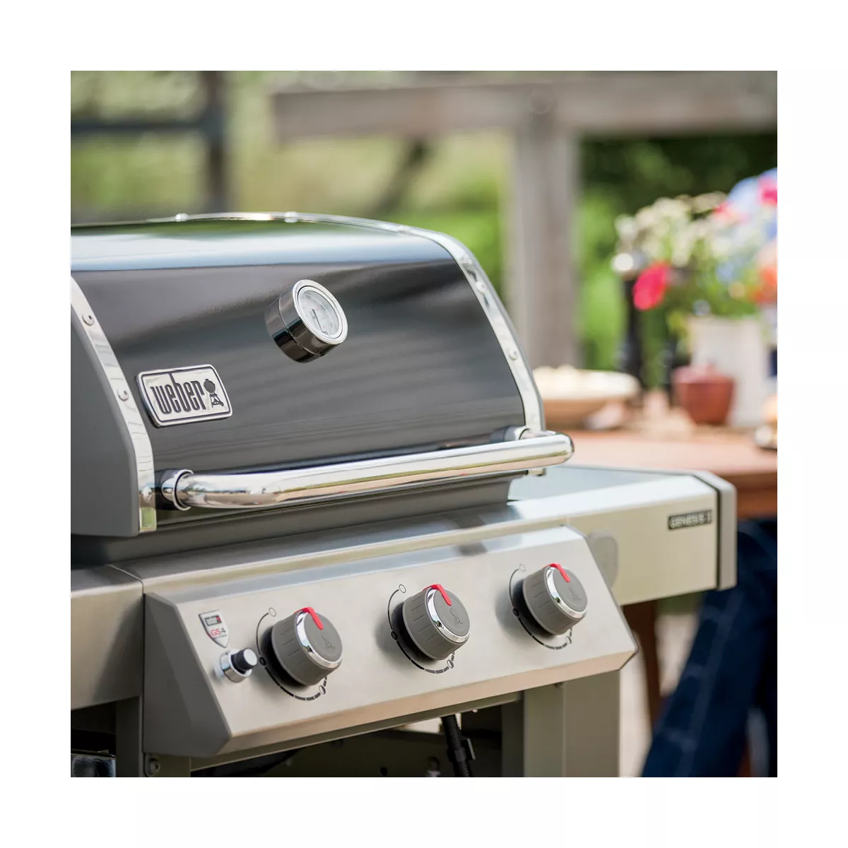 Weber Genesis II E-310 NG 66011001 Black