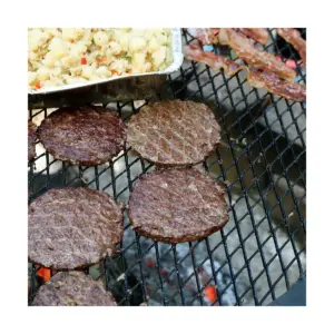 Sunnydaze Outdoor Camping or Backyard Heavy-Duty Steel Round X-Marks Fire Pit Cooking Grilling BBQ Grate - 22