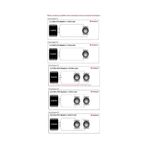 Rockford Fosgate R2SD210 10