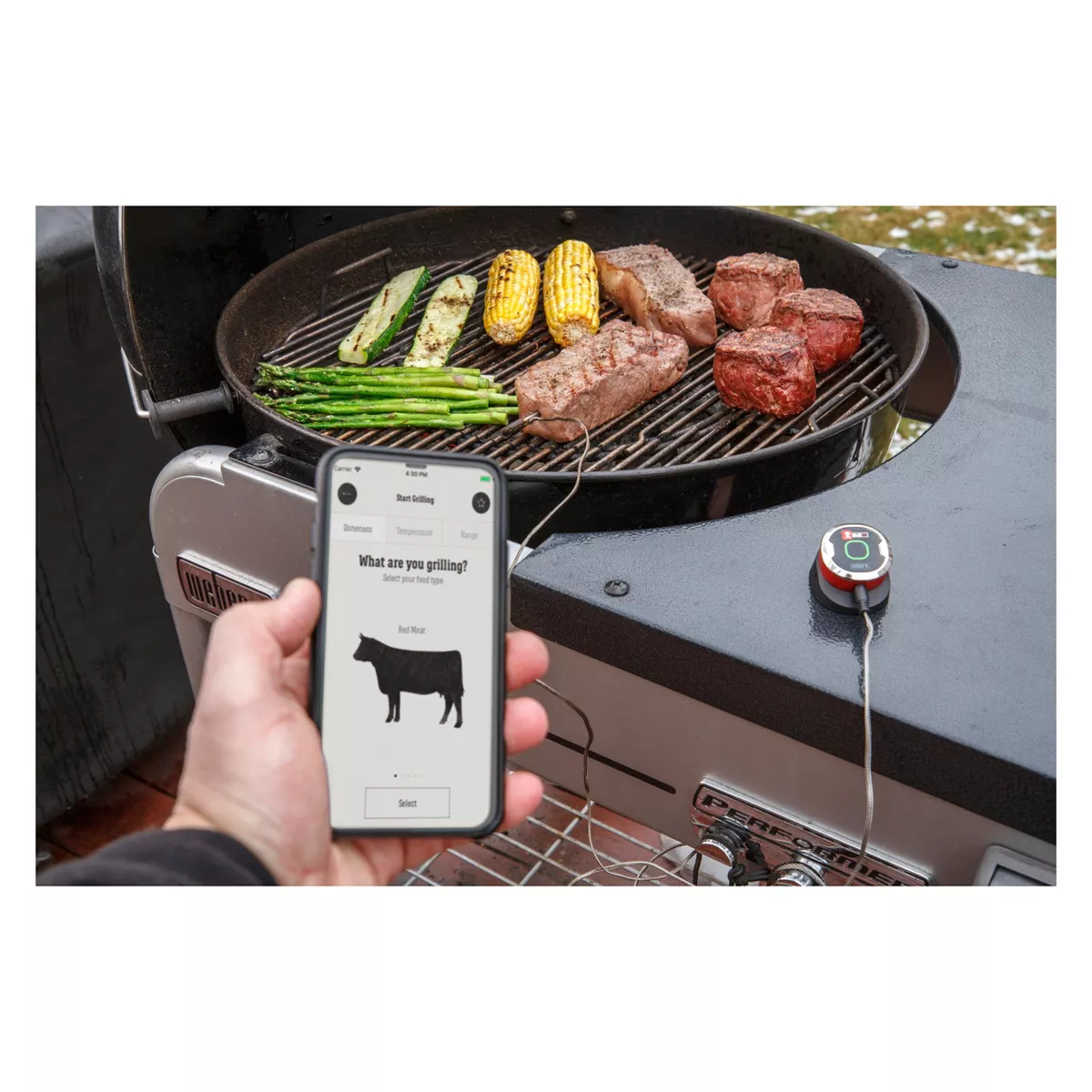 Weber iGrill Mini Digital Bluetooth Thermometer