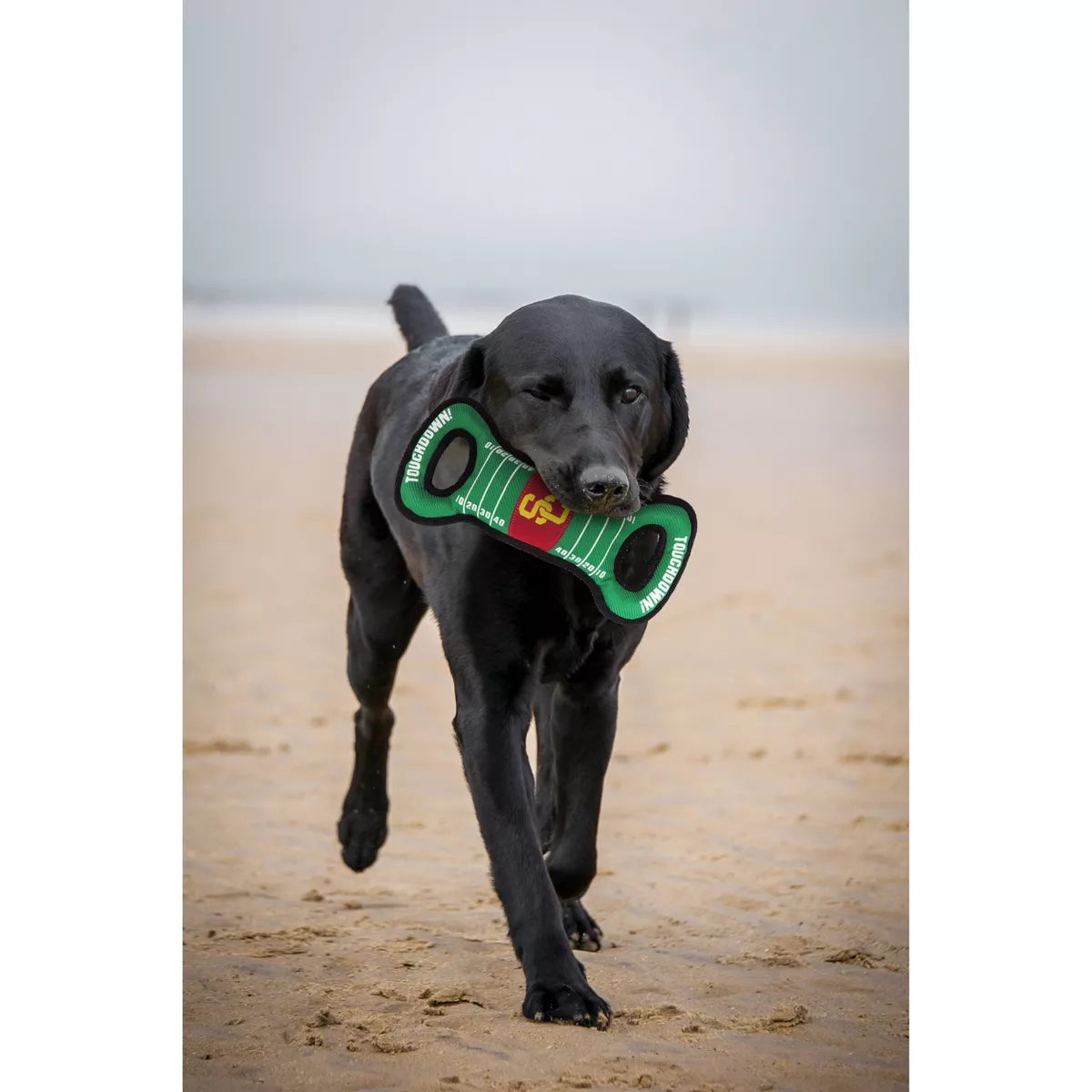 NCAA USC Trojans Field Dog Toy