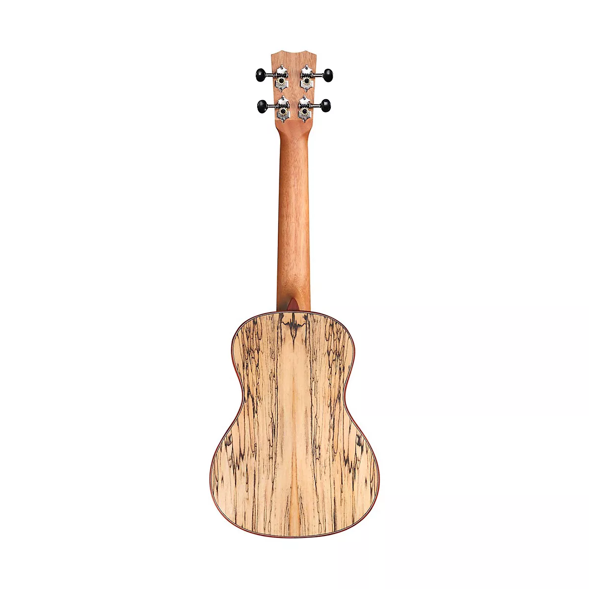 Cordoba 24C Spruce Spalted Maple Concert Ukulele Natural