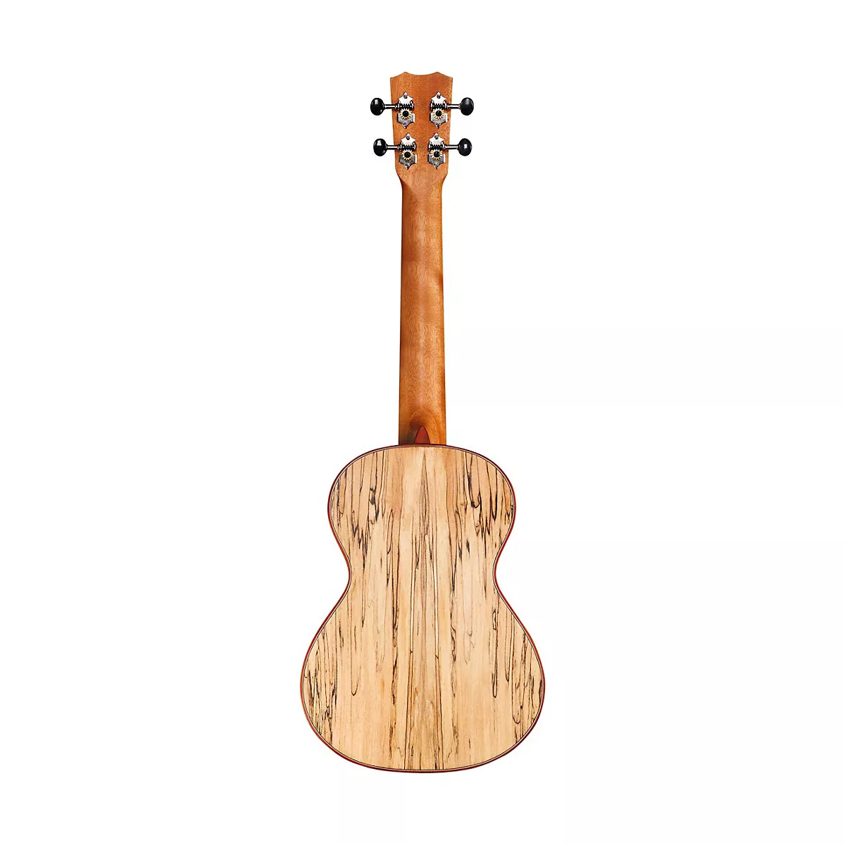 Cordoba 24T Spruce Spalted Maple Tenor Ukulele Natural