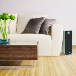 Germ Guardian Air Purifier with True HEPA Filter, 4-in-1 AC4900CA 22