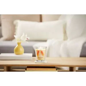 11.5oz Glass Jar Sparkling Mimosa Candle - Home Scents by Chesapeake Bay Candle