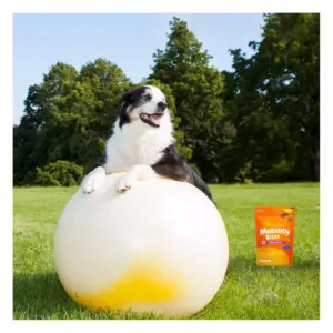 Zesty Paws Hip and Joint Vitamins & Supplements for Dogs – 60 ct