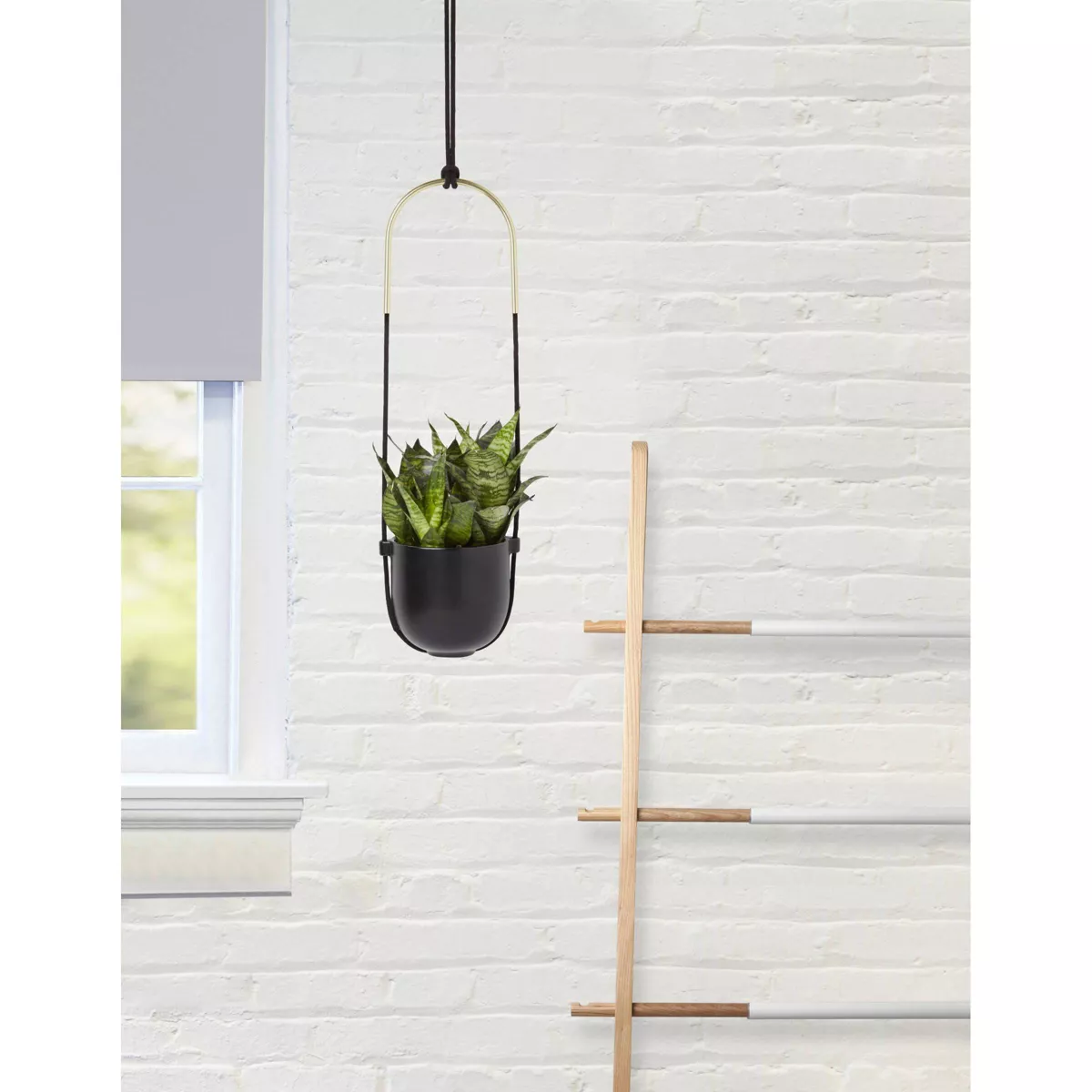 Bolo Planter Black - Umbra