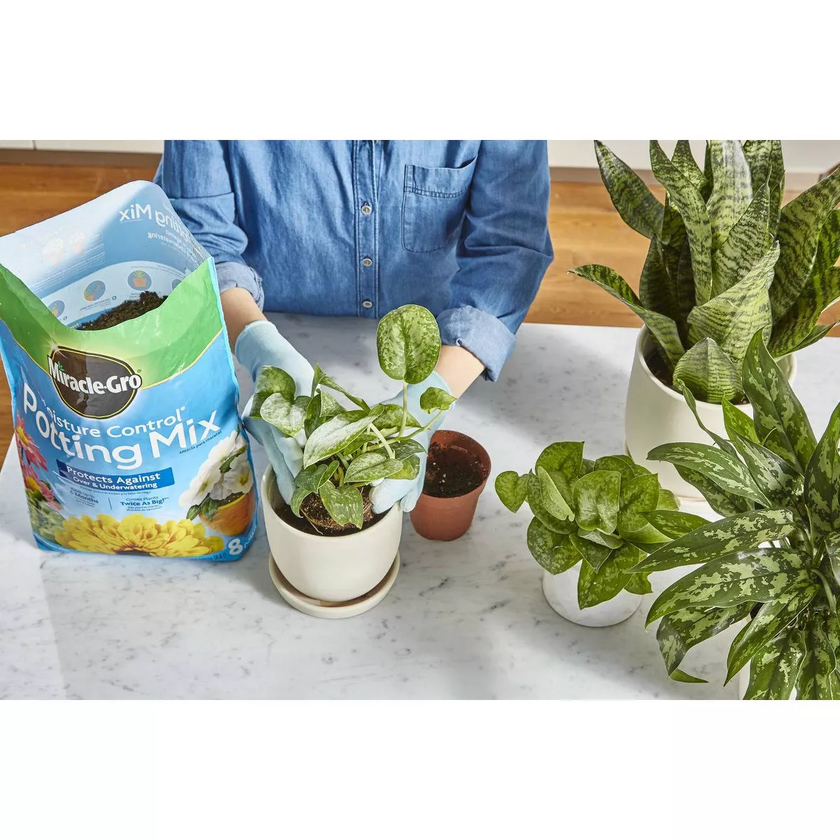 Miracle-Gro Water Soluble Plant Food and Potting Mix